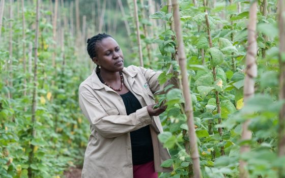 The future of farming is agroecological