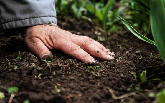 Migrant agricultural workers face absolute poverty while supermarkets profit